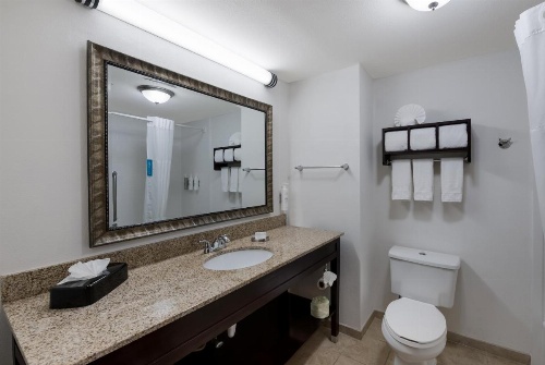 Hampton Inn By Hilton Marshall image 33